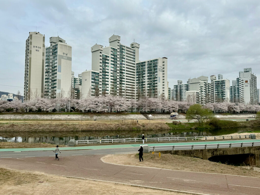 전세자금대출 아파트
